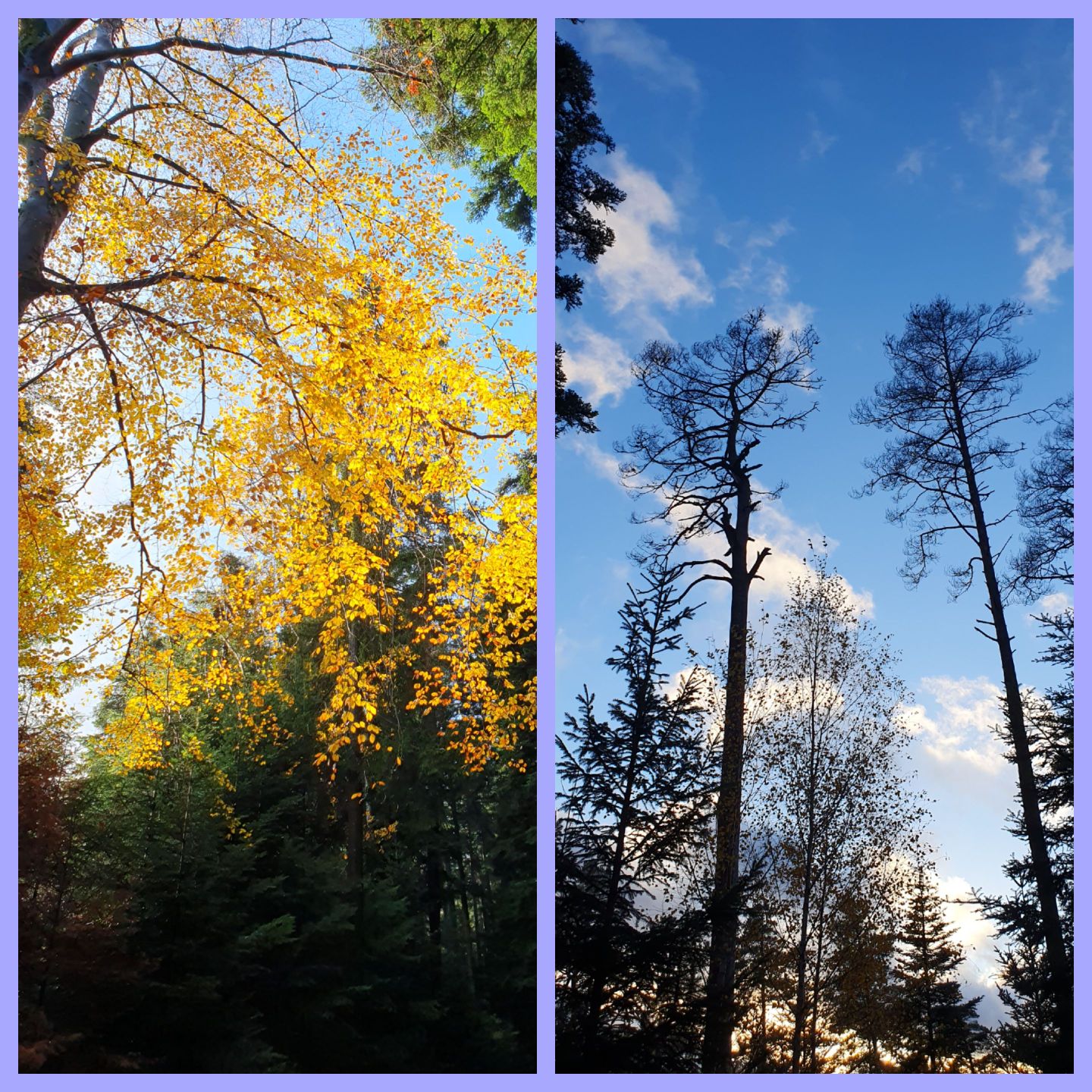 2023 11 November 605